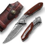 DRACHENADER Damascus Pocket Knife for Men with Clip and Leather Sheath, Handcrafted 67-Layer Damascus Steel Folding knife Gentleman's Knives Slim, Wood Handle