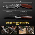 DRACHENADER Damascus Pocket Knife for Men with Clip and Leather Sheath, Handcrafted 67-Layer Damascus Steel Folding knife Gentleman's Knives Slim, Wood Handle