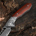 DRACHENADER Damascus Pocket Knife for Men with Clip and Leather Sheath, Handcrafted 67-Layer Damascus Steel Folding knife Gentleman's Knives Slim, Wood Handle