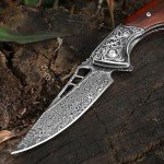 DRACHENADER Damascus Pocket Knife for Men with Clip and Leather Sheath, Handcrafted 67-Layer Damascus Steel Folding knife Gentleman's Knives Slim, Wood Handle