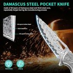 KNOVATET Damascus Pocket Knife with Sheath, Handmade Forged 3.35" VG10 Damascus Steel Blade Folding Knife with Abalone Shell Handle, EDC Camping Knives for Outdoor Indoor, Ideal Gifts for Women Men