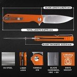 Firebird GANZO FH41S-OR Pocket Folding Knife D2 Steel Blade G10 Anti-Slip Handle with Clip Fishing Hunting Camping Outdoor Flipper EDC Pocket Knife Best Gift for Men and Women (Orange)