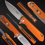 Firebird GANZO FH41S-OR Pocket Folding Knife D2 Steel Blade G10 Anti-Slip Handle with Clip Fishing Hunting Camping Outdoor Flipper EDC Pocket Knife Best Gift for Men and Women (Orange)