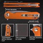 Firebird GANZO FH41S-OR Pocket Folding Knife D2 Steel Blade G10 Anti-Slip Handle with Clip Fishing Hunting Camping Outdoor Flipper EDC Pocket Knife Best Gift for Men and Women (Orange)