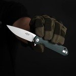 Firebird GANZO FH41S-OR Pocket Folding Knife D2 Steel Blade G10 Anti-Slip Handle with Clip Fishing Hunting Camping Outdoor Flipper EDC Pocket Knife Best Gift for Men and Women (Orange)