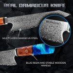 Miyamoto Japanese Chef Knife 8 Inch Steel 67 Layers Damascus Kitchen Knife, Ultra Sharp Chef's Knife with Long Lasting Blade, High Carbon Super Steel Chopping Knife, Carving Knife with Resin Handle