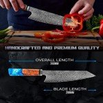 Miyamoto Japanese Chef Knife 8 Inch Steel 67 Layers Damascus Kitchen Knife, Ultra Sharp Chef's Knife with Long Lasting Blade, High Carbon Super Steel Chopping Knife, Carving Knife with Resin Handle