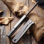 10MOONS Pocket Knife, Folding Knife, 9.1″ D2 Steel Blade Pocket Knife Multitool, Pocket Knives & Folding Knives with Belt Clip, Camping Knives EDC Pocket Knives for Men
