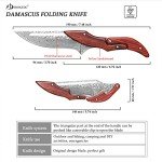 SDOKEDC SD604A VG10 Damascus Folding Knife Pocket Knife Yellow Sandalwood Handle Mechanical Lock Outdoor Camping Survival (Suguha)