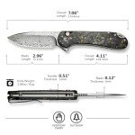 CIVIVI Elementum II Pocket Folding Knife, 2.96" Damascus Blade Knife with Deep Carry Pocket Clip for EDC Camping Hiking Hunting C18062P-10