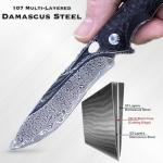 TACTICAL GEARZ Damascus Steel Pocket Knife for EDC, Ebony (Black) Wood Handle, Multi-Layered Damascus Steel Blade (Krato XT)