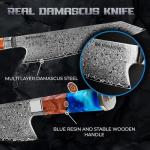 Miyamoto Japanese Chef Knife 8 Inch Steel 67 Layers Damascus Kitchen Knife, Ultra Sharp Chef's Knife with Long Lasting Blade, High Carbon Super Steel Chopping Knife, Carving Knife with Resin Handle