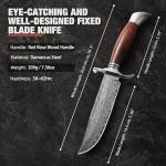 DRACHENADER Damascus Bowie Knife, 10.5 Inch Damascus Knife with Leather Sheath, Handmade Fixed Blade Hunting Knife, Real Damascus Steel with VG10 Core, Wood Handle, Outdoor Bushcraft Knife