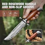 DRACHENADER Damascus Bowie Knife, 10.5 Inch Damascus Knife with Leather Sheath, Handmade Fixed Blade Hunting Knife, Real Damascus Steel with VG10 Core, Wood Handle, Outdoor Bushcraft Knife