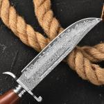 DRACHENADER Damascus Bowie Knife, 10.5 Inch Damascus Knife with Leather Sheath, Handmade Fixed Blade Hunting Knife, Real Damascus Steel with VG10 Core, Wood Handle, Outdoor Bushcraft Knife