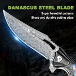 Zingbee Damascus Pocket Knife for Women, 3.15" VG10 Damascus Steel Blade EDC Folding Knife with Sheath, Abalone Shells Handle, Ideal Gifts for Woman Men
