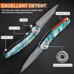 Zingbee Damascus Pocket Knife, 3.03" VG10 Damascus Steel Blade Folding Knife with Abalone Shell Handle, EDC Camping Knives for Outdoor Indoor, Gifts for Women Men