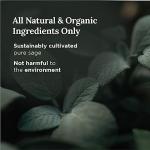 101 Manifestation & Cleansing Sage Candle | Organic & Natural