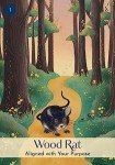 Chinese Five Elements Oracle Card Deck & Guidebook