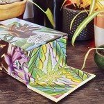 Metaphysical Cannabis Oracle Deck - Explore Your Intuition