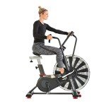 Schwinn AD7 Airdyne Bike for Recovery