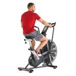 Schwinn AD7 Airdyne Bike for Recovery