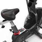 Schwinn AD7 Airdyne Bike for Recovery