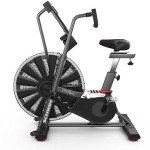 Schwinn AD7 Airdyne Bike for Recovery
