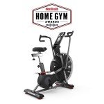 Schwinn AD7 Airdyne Bike for Recovery