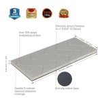 Diamond Whetstone Flattener - 220 Grit 10x4 Inch