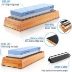 Sharp Pebble Whetstone 1000/6000 Grit with Base