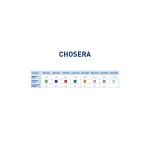 Naniwa Chosera Whetstone 400 Grit 400 mm