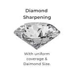 DMT Diamond Whetstone with Plastic Case, 6