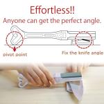 Suehiro Handy SKG-48 Handheld Whetstone #220, #1000