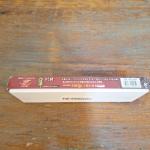 Naniwa Hayabusa 4000 Whetstone for Sharpening