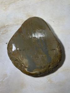 Shohonyama Japanese Natural Whetstone 5000 Grit