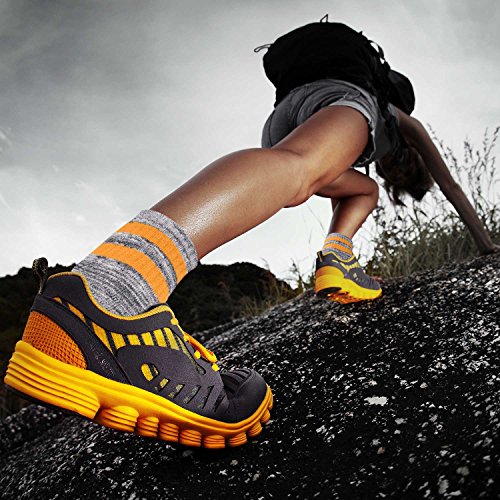 Women's Hiking Socks - Multi-pack, Wicking Cushion