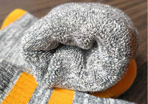 Women's Hiking Socks - Multi-pack, Wicking Cushion