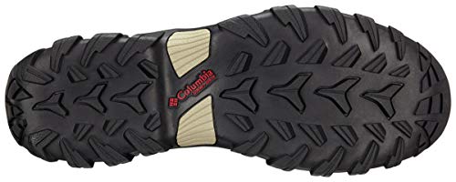 Columbia Newton Ridge Plus II Suede Hiking Boot