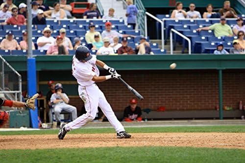 Coleman Palmetto Sleeping Bag, 30°F Lightweight Hiking