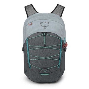 Osprey Quasar Commuter Backpack, Silver/Tunnel Vision