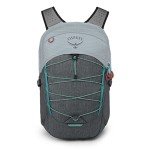 Osprey Quasar Commuter Backpack, Silver/Tunnel Vision