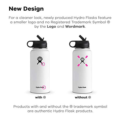 Hydro Flask Stainless Steel Water Bottle with Straw Lid