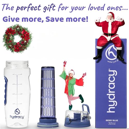 Hydracy 32oz Fruit Infuser Water Bottle - Berry Blue