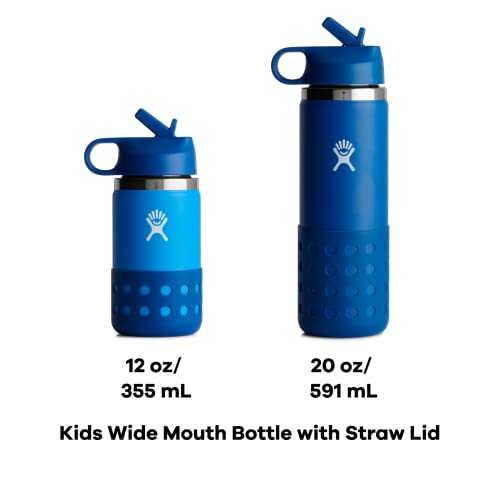Hydro Flask Kids Wisteria 20oz Water Bottle