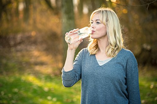 Set of 6 Epica Clear Glass Water Bottles