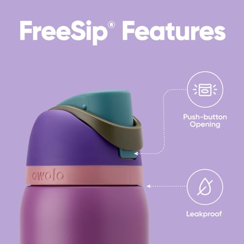 Insulated Stainless Steel Water Bottle with Straw, BPA-Free (Voodoo)