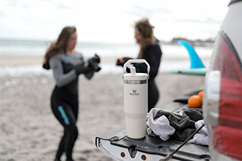 Stanley IceFlow Tumbler - Insulated Stainless Steel Water Bottle
