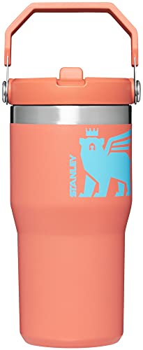 Stanley Kids IceFlow Flip Straw Tumbler, 20oz