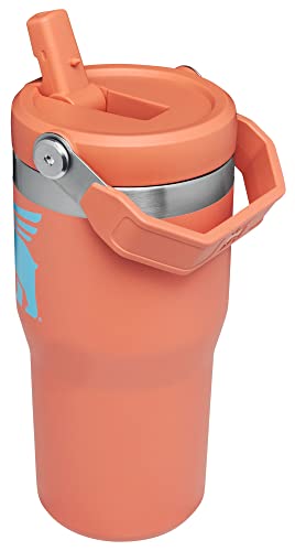 Stanley Kids IceFlow Flip Straw Tumbler, 20oz